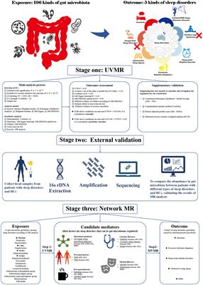 Pain, obesity, adenosine salvage disruption, and smoking behavior mediate the effect of gut microbiota on sleep disorders: results from network Mendelian randomization and 16S rDNA sequencing